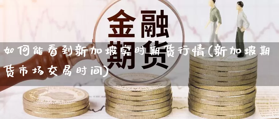 如何能看到新加坡实时期货行情(新加坡期货市场交易时间)_https://www.txjjpc.com_期货科普_第1张