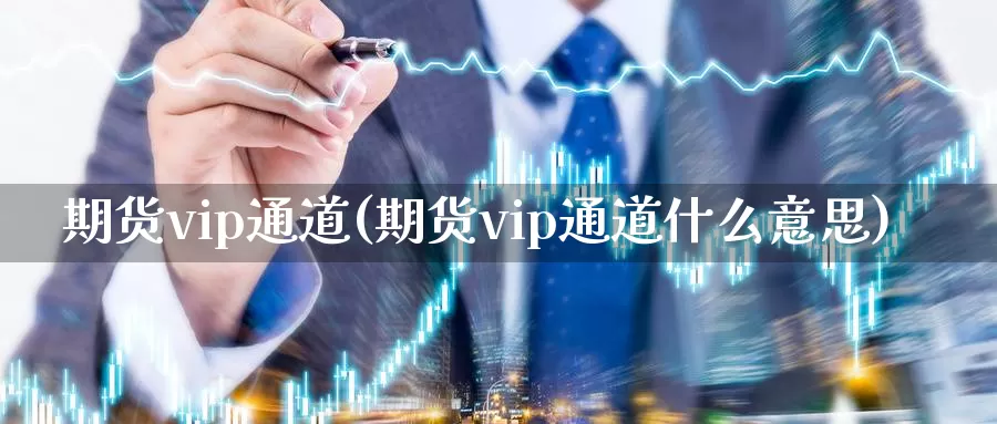 期货vip通道(期货vip通道什么意思)_https://www.txjjpc.com_农产品期货_第1张