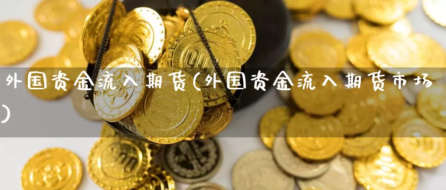 外国资金流入期货(外国资金流入期货市场)_https://www.txjjpc.com_股指期货_第1张