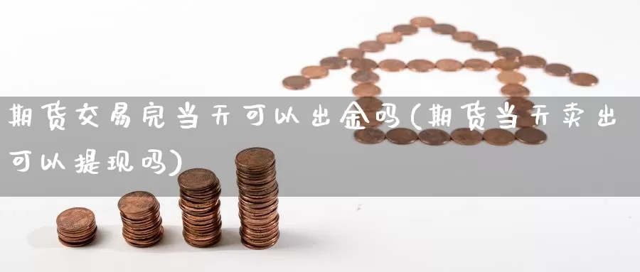 期货交易完当天可以出金吗(期货当天卖出可以提现吗)_https://www.txjjpc.com_期货技术分析_第1张