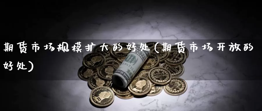 期货市场规模扩大的好处(期货市场开放的好处)_https://www.txjjpc.com_股指期货_第1张