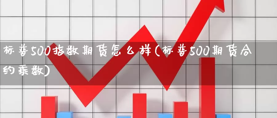 标普500指数期货怎么样(标普500期货合约乘数)_https://www.txjjpc.com_农产品期货_第1张