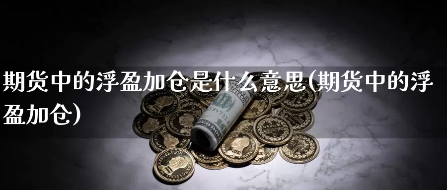 期货中的浮盈加仓是什么意思(期货中的浮盈加仓)_https://www.txjjpc.com_期货科普_第1张