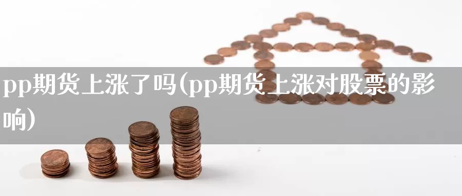 pp期货上涨了吗(pp期货上涨对股票的影响)_https://www.txjjpc.com_原油期货_第1张