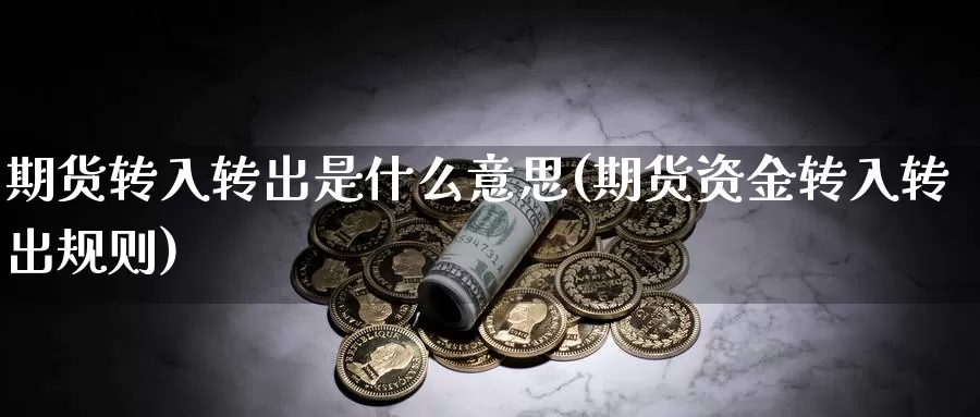 期货转入转出是什么意思(期货资金转入转出规则)_https://www.txjjpc.com_农产品期货_第1张