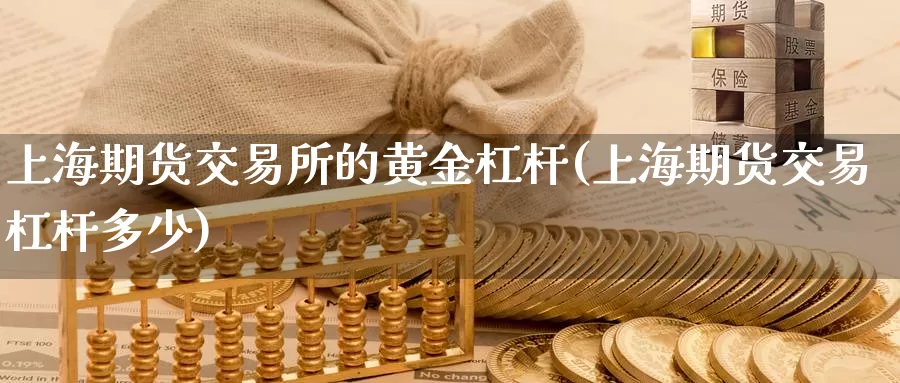 上海期货交易所的黄金杠杆(上海期货交易杠杆多少)_https://www.txjjpc.com_股指期货_第1张