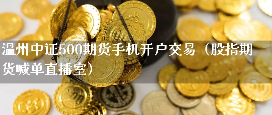 温州中证500期货手机开户交易（股指期货喊单直播室）_https://www.txjjpc.com_原油期货_第1张