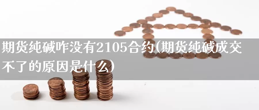 期货纯碱咋没有2105合约(期货纯碱成交不了的原因是什么)_https://www.txjjpc.com_期货技术分析_第1张