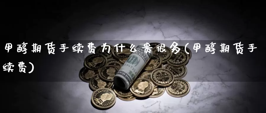 甲醇期货手续费为什么贵很多(甲醇期货手续费)_https://www.txjjpc.com_期货行业分析_第1张