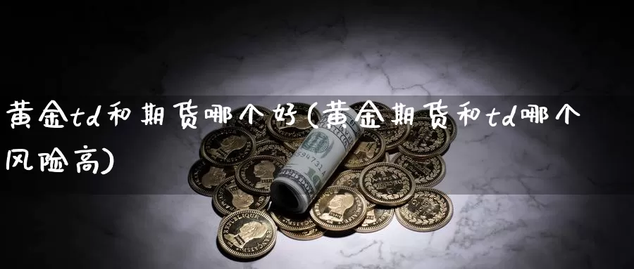 黄金td和期货哪个好(黄金期货和td哪个风险高)_https://www.txjjpc.com_股指期货_第1张