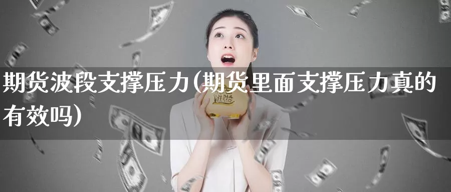 期货波段支撑压力(期货里面支撑压力真的有效吗)_https://www.txjjpc.com_期货技术分析_第1张